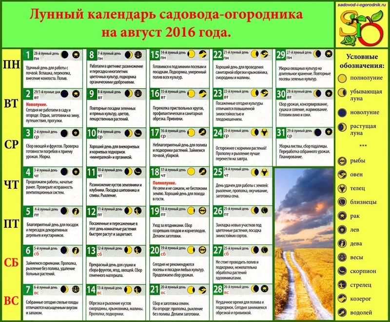 Лунный Календарь На Август Для Диеты.