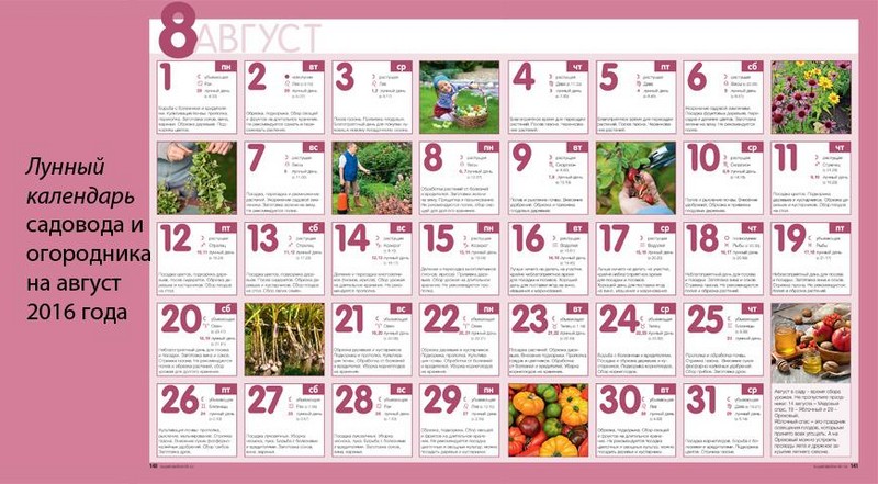 Лунный календарь огородника на август 2016 для жителей