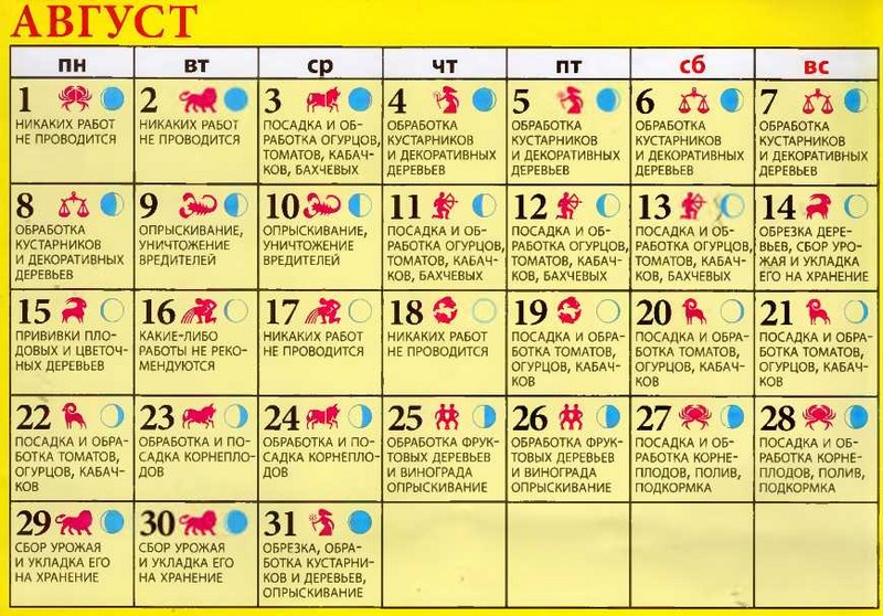 Лунный календарь огородника на август 2016 для жителей