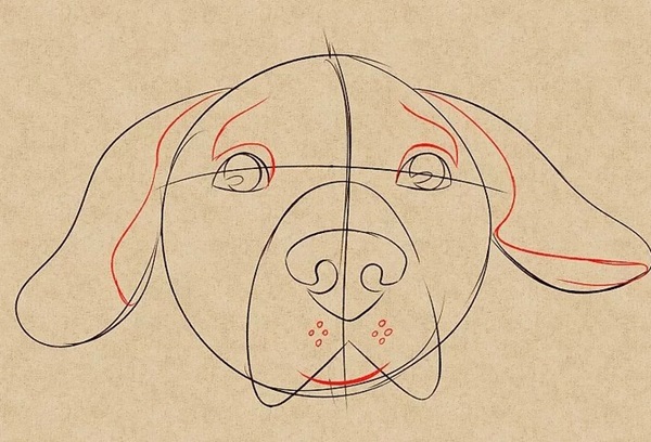 Как нарисовать Собаку