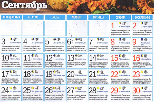 Лунный посевной календарь на сентябрь 2018 года для огородников и цветоводов Подмосковья и Средней полосы России