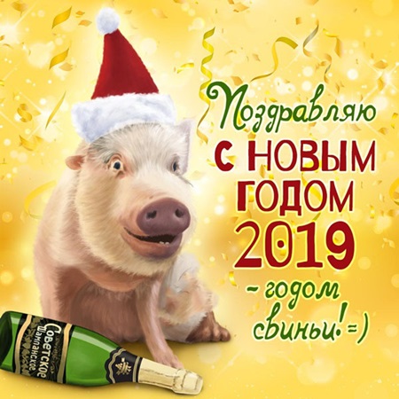 Открытки коллегам с Новым 2019 годом Свиньи и Рождеством Христовым. Открытки с официальными поздравлениями партнерам и организациям на Новый год