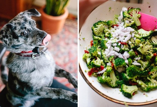 Салаты на Новый 2018 год Собаки - простые и вкусные рецепты с фото: Новинки новогодних салатов по самым вкусным рецептам