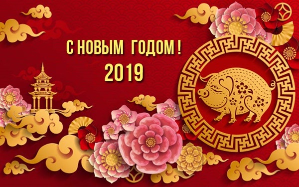 Стихи с Новым годом 2019 Свиньи с душевными поздравлениями и пожеланиями, короткие и красивые, прикольные и смешные стихи на Новый год